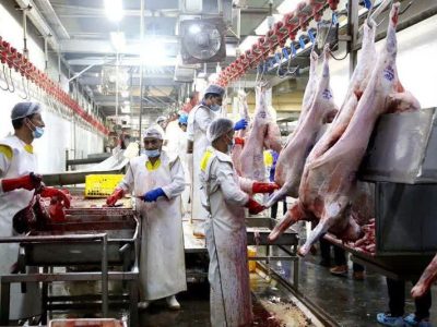 ثبت سفارش گوشت قرمز امروز آغاز می‌شود