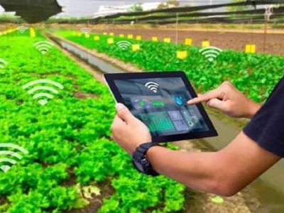 فعالیت ۳۴ مرکز تحقیقات کشاورزی در کشور؛ چرخه اتصال علم به تولید