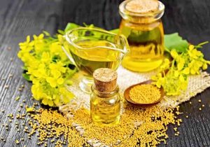 خرید تضمینی کلزا از ۲۵۰ هزار تن عبور نمی‌کند