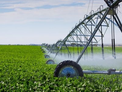 فاصله سیاست‌ها و برنامه‌ها؛ از آب تا امنیت غذایی