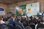 افتتاح ۲۶۳ پروژه بخش کشاورزی در سیستان و بلوچستان