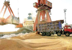 مصوبه فوری شورای گفت‌وگو برای تسهیل واردات نهاده‌های دامی