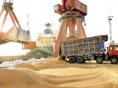 مصوبه فوری شورای گفت‌وگو برای تسهیل واردات نهاده‌های دامی