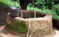 حجم واقعی آب در دسترس کشاورزان شفاف سازی شود؛ تامین بی سابقه ۵۰۰ هزار تن بذر گواهی شده