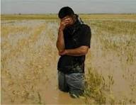 سیل ۱۳۸۰ میلیارد ‌به کشاورزان خراسان‌شمالی خسارت زد