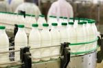 چرا قیمت شیر خام بالارفت؟