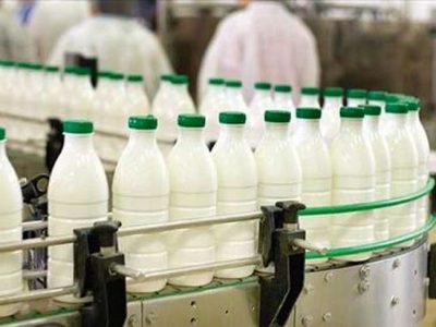 چرا قیمت شیر خام بالارفت؟