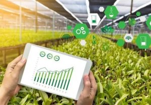 افزایش ۱۱ درصدی ارزش صادرات محصولات کشاورزی در بهار امسال