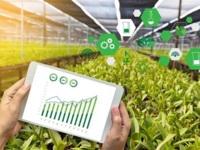 افزایش ۱۱ درصدی ارزش صادرات محصولات کشاورزی در بهار امسال