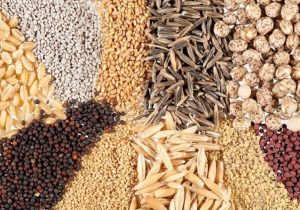 سامانه بازارگاه برای خرید و فروش سبوس آمادگی دارد