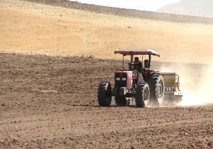 مدیرکل دفتر ترویج سازمان تات: پاییز فصل طلایی کشاورزی ایران در دل کم‌آبی است