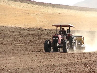 مدیرکل دفتر ترویج سازمان تات: پاییز فصل طلایی کشاورزی ایران در دل کم‌آبی است