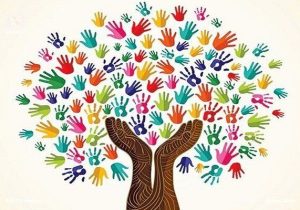 ساختار سنتی بهرهبرداری مانع تحقق کشاورزی فناورانه است؛ لزوم تقویت تشکلهای تولیدی