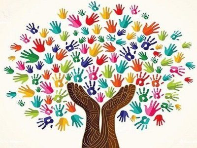 ساختار سنتی بهرهبرداری مانع تحقق کشاورزی فناورانه است؛ لزوم تقویت تشکلهای تولیدی