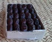 خرمای خوزستان؛ طلای شیرین نخلستانها در فصل برداشت