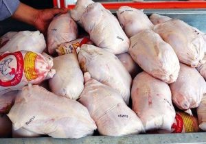بازارگاه، عامل گرانی گوشت مرغ؛ دست تولیدکننده به نهاده نمی‌رسد