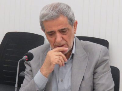 فعالیت شوراهای استانی سازمان نظام دامپزشکی فاقد وجاهت قانونی است