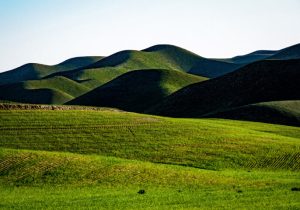 جامعه هدف یک میلیون نفری آموزش‌های ترویجی منابع طبیعی در کشور