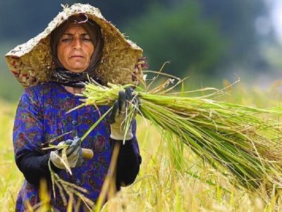 تحول اقتصاد محلی با ایجاد ۳۲ زنجیره ارزش کسب و کار کشاورزی زنان روستایی