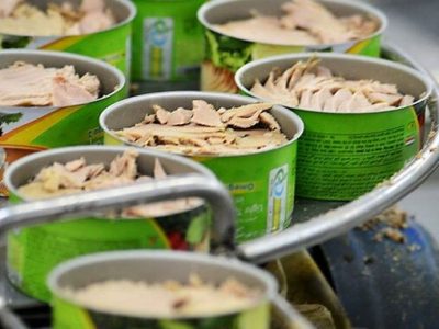 افت واردات ۵۰ درصدی تنماهیان، نرخ کنسرو را ۲ بار افزایش داد