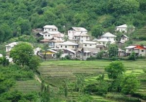 بومگردی، لقمه گلوگیر امنیت غذایی