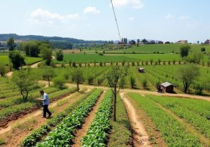 صدور ۱۹۵ مورد مجوز تغییر کاربری در آذربایجان غربی