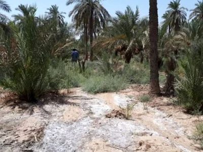 افزایش ۲۳ درصدی شوری خاک خوزستان در ده سال