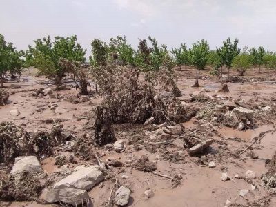 بزرگترین چالش کشاورزی کمآبی و بهرهوری پایین آب است