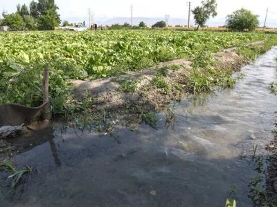 سهم ۹۰ درصدی بخش کشاورزی از مصرف آب کشور دقیق نیست