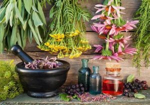 عطر درمان از دل کویر؛ سیستان و بلوچستان سرزمین گیاهان شفابخش