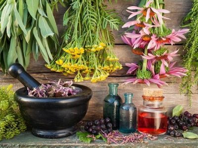 عطر درمان از دل کویر؛ سیستان و بلوچستان سرزمین گیاهان شفابخش