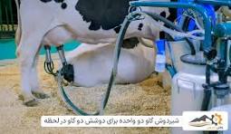 افزایش ۶۰ درصدی قیمت شیر خام طی ۵ ماه؛ کوتاهی وزارت کشاورزی در نظارت