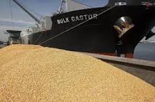 ضوابط جدید واردات نهادههای دامی اعلام شد