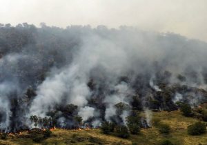 آتش‌سوزی جنگل چالوس مهار شده است