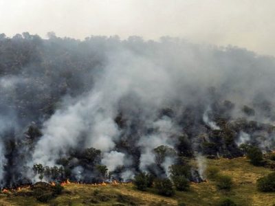 آتش‌سوزی جنگل چالوس مهار شده است