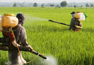 رهگیری سموم کشاورزی با سامانه هوشمند یکپارچه‌سازی ملی مدیریت