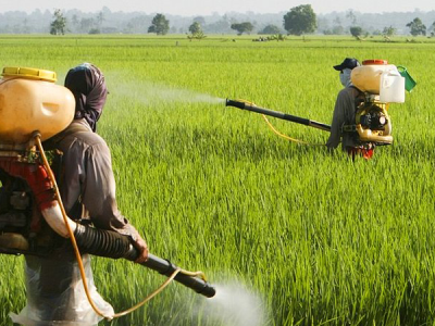 رهگیری سموم کشاورزی با سامانه هوشمند یکپارچه‌سازی ملی مدیریت