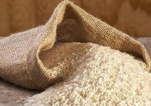 بیش از ۷۰۰۰ تن برنج تنظیم بازار در فارس توزیع شد