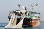 واردات ادوات صیادی مخرب به گمرکهای استان بوشهر ممنوع شد
