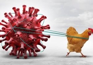 پیشگیری، تنها راه موثر مقابله با آنفولانزا است