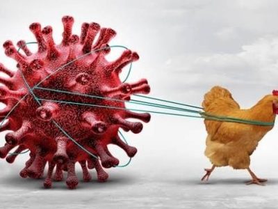 پیشگیری، تنها راه موثر مقابله با آنفولانزا است