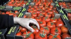 هیچ تعرفه‌ای برای گوجه‌فرنگی اعمال نخواهد شد