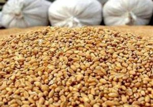 پرداخت تسهیلات برای خرید نهاده‌ با حذف ارز ترجیحی