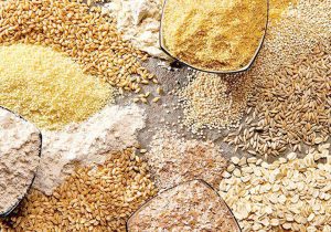 ارز یارانه‌ای موجب فساد در چرخه تامین نهاده دام بود