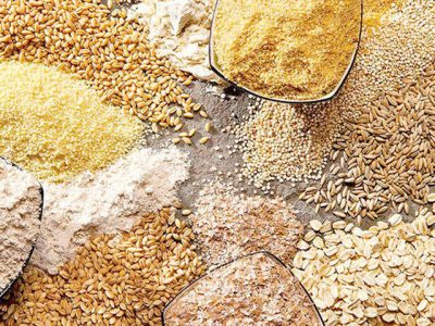 ارز یارانه‌ای موجب فساد در چرخه تامین نهاده دام بود