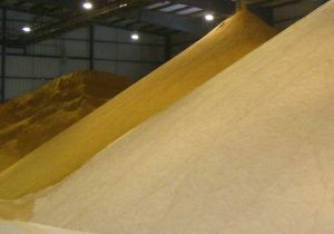 نهادههای دامی در سامانه بازارگاه اشباع شد