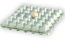 پیشبینی قیمت تخممرغ، از هر شانه ۳۶۰۰۰۰ تا ۴۲۰۰۰۰ تومان