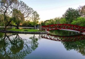 صیانت از آب و خاک، زیربنای کشاورزی پایدار است