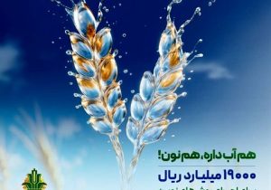 مدیریت هوشمندانه آب، تولید پایدار غذا حمایت ۱۹ هزار میلیارد ریالی بانک کشاورزی از مدیریت بحران آب با اجرای روش‌های نوین آبیاری
