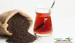 افزایش ۱۰ درصدی صادرات چای؛ رشد قیمت جهانی و تقویت جایگاه چای ایرانی